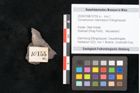 Foto (Detailansicht) von Cinnamomum intermedium Ettingshausen (NHMW-GEO-2024-0188-10155a)